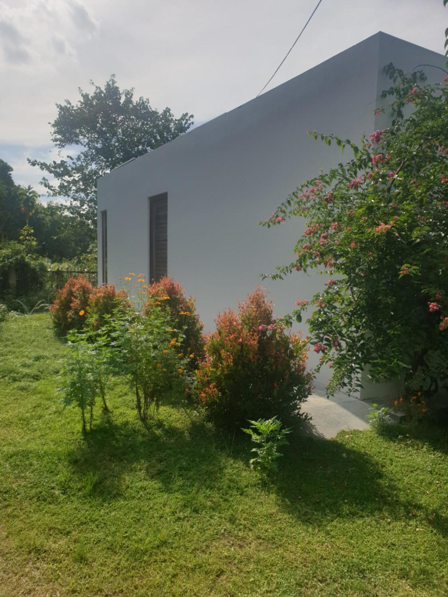 טנגלה Giri Villa מראה חיצוני תמונה